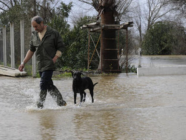 Un hombre pasea con un perro por una zona totalmente cubierta de agua.

Foto: Juan Carlos V&aacute;zquez
