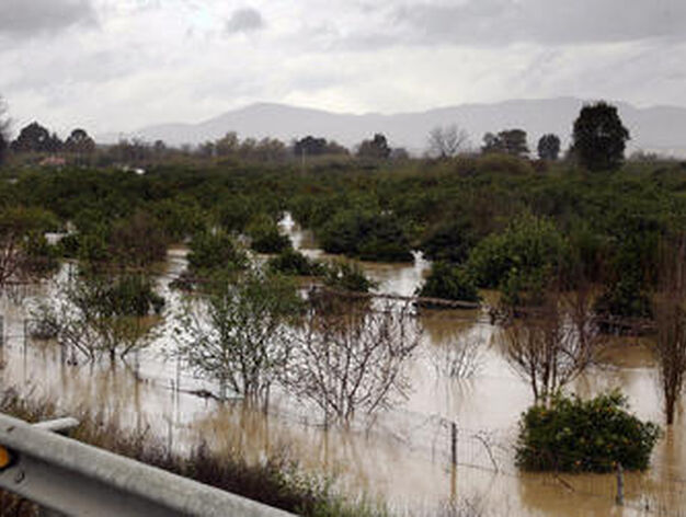 Zona de cultivos inundada en el valle del Guadalhorce.

Foto: Migue Fern&aacute;ndez, Sergio Camacho, Agencias