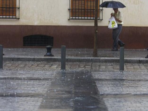 Las lluvias han acompa&ntilde;ado a los sevillanos durante todo el d&iacute;a. 

Foto: Diario de Sevilla