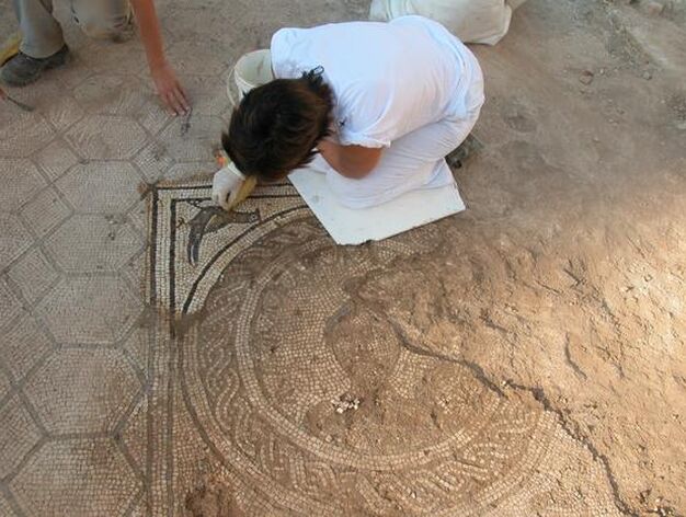 Trabajos de limpieza en uno de los mosaicos hallados en la Casa de la Ninfa.

Foto: Diario de Sevilla
