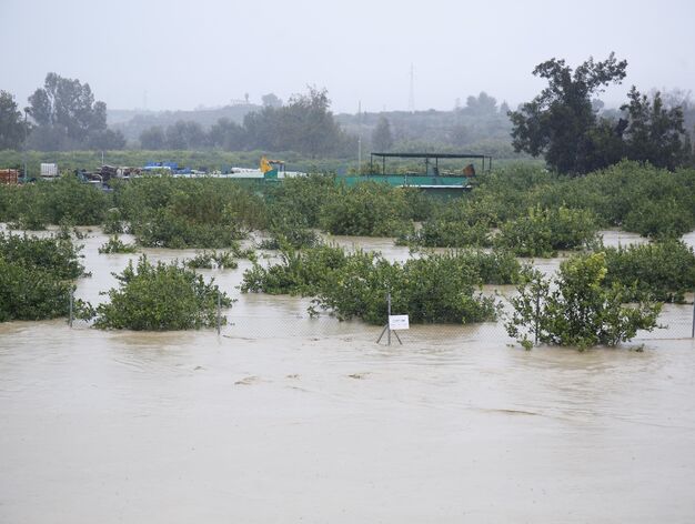 Imágenes de las fuertes lluvias en la provincia