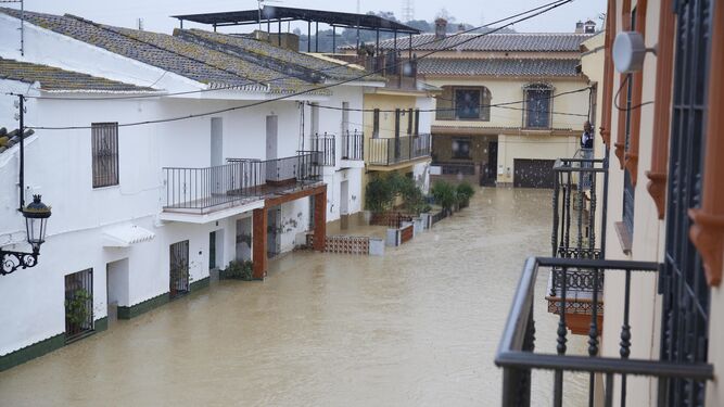 Algunas calles de Cártama se convirtieron, literalmente, en una piscina.