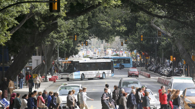 Un grupo de peatones cruza por el eje central de la Alameda, con los autobuses de la EMT al fondo.