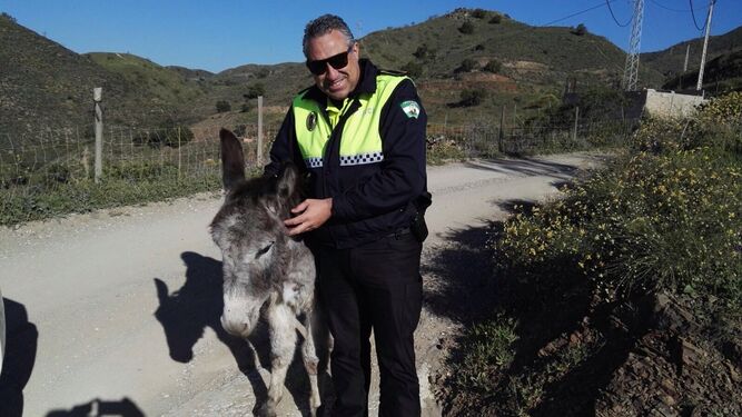 Uno de los agentes con el burro rescatado.