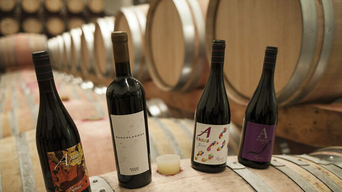 Los tres vinos de la bodega Pasos Largos que han llegado al mercado asiático