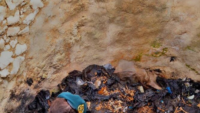 La Guardia Civil investiga la aparición de restos de animales en bolsas.