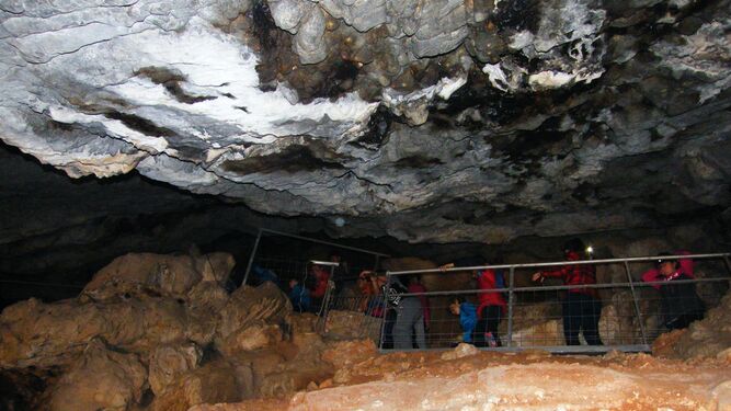 Visitas a la Cueva del Humo en La Araña.