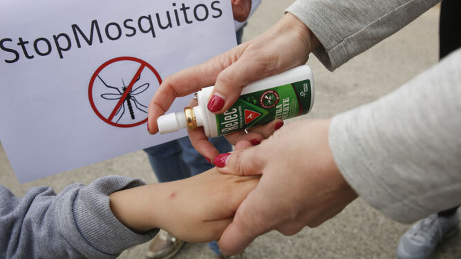 Los niños del colegio de Guadalmar no irán a clase este viernes por culpa de los mosquitos.