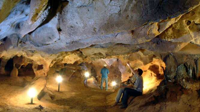 Investigadores estudian la llamada galería de las Conchas de la cueva de la Victoria.