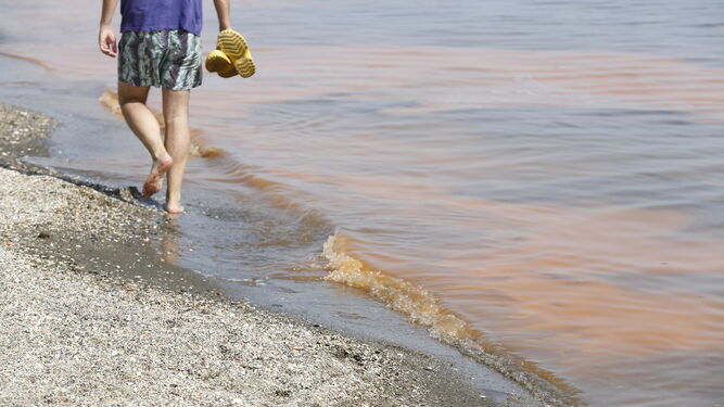 Un bañista pasea por la orilla junto a las  manchas naranjas.