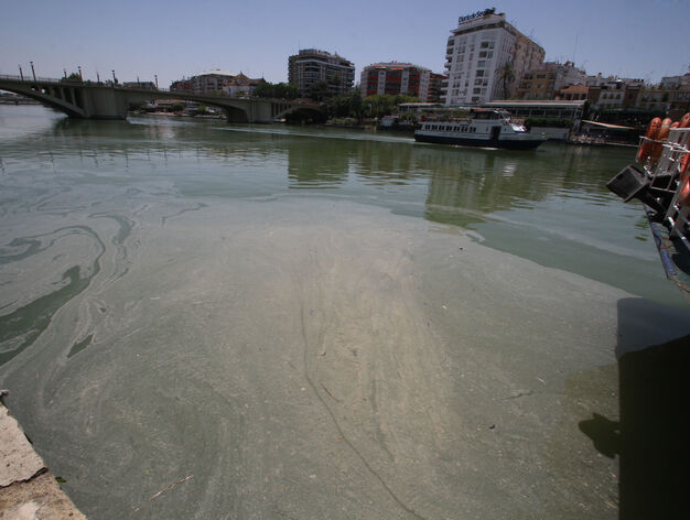 Mancha de aceite en el Guadalquivir