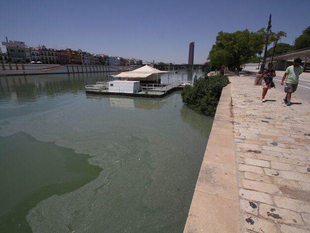 Mancha de aceite en el Guadalquivir
