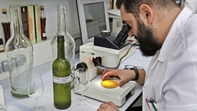 Antonio Amores, con una muestra del polen que usan para el vino.
