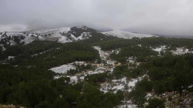 Vista general de la Sierra de las Nieves, ayer tras el temporal.