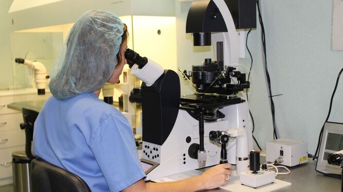 Una trabajadora observa material por el microscopio.