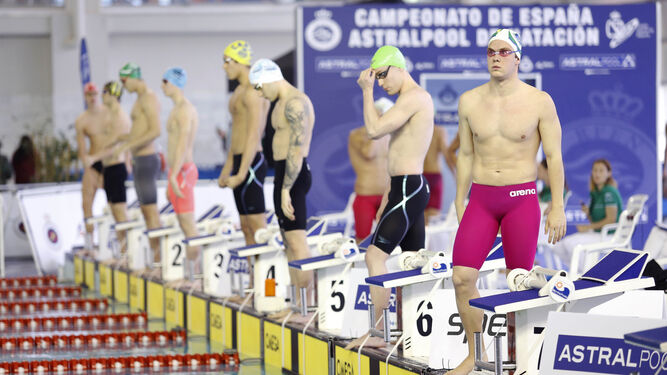 Ocho nadadores se preparan para saltar al agua en las instalaciones de Inacua Málaga, ayer.