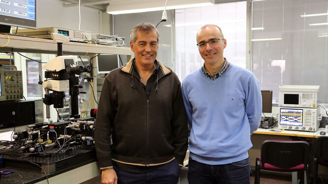 Iñigo Molina y Gonzalo Wangüemert en el Laboratorio de Fotónica y Radiofrecuencia de la UMA.
