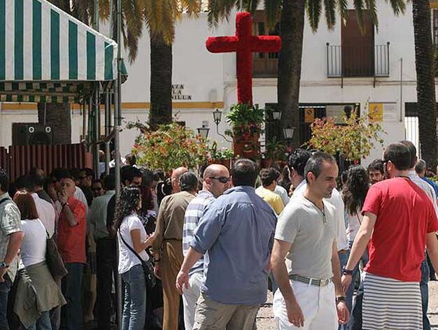 Cruces de Mayo 2008