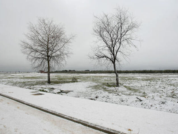 Una postal de Gerena (Sevilla), tras la nevada. 

Foto: Joly Digital