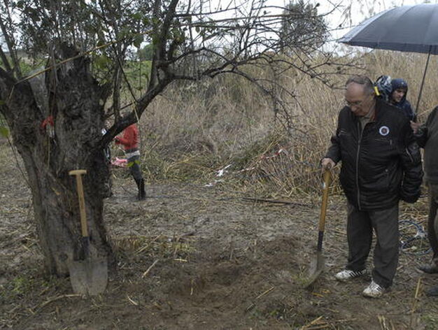 Jos&eacute; Antonio Casanueva observa la tierra tras removerla con una pala.

Foto: Manuel G&oacute;mez
