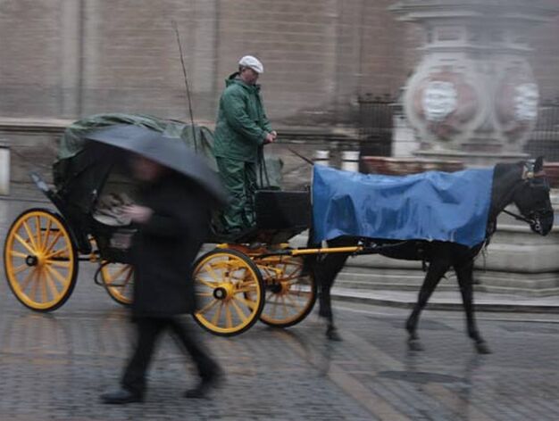 Los coches de caballos continuaron circulando a pesar de las precipitaciones.

Foto: Victoria Hidalgo