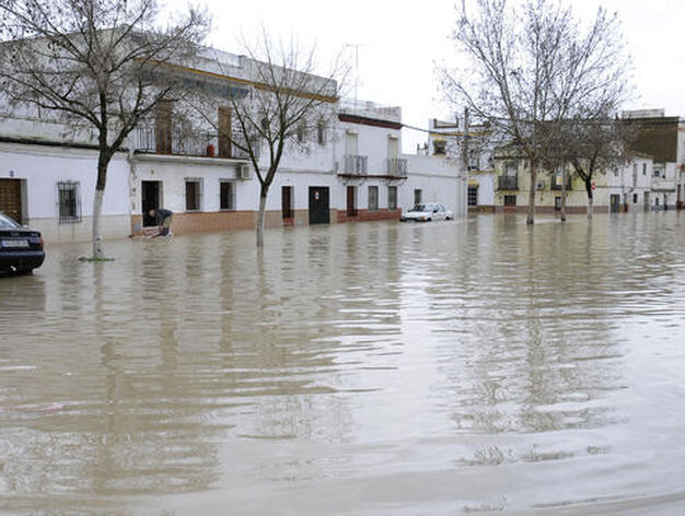 Una calle de Lora del R&iacute;o totalmente inundada.

Foto: Juan Carlos V&aacute;zquez