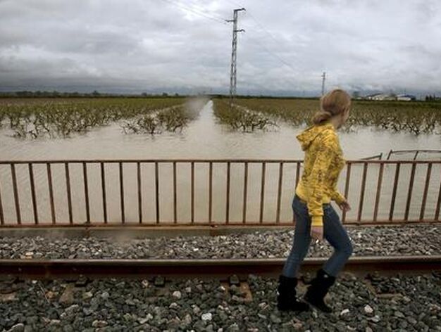 Una chica pasea y observa un campo inundado en Tocina.

Foto: Agencias