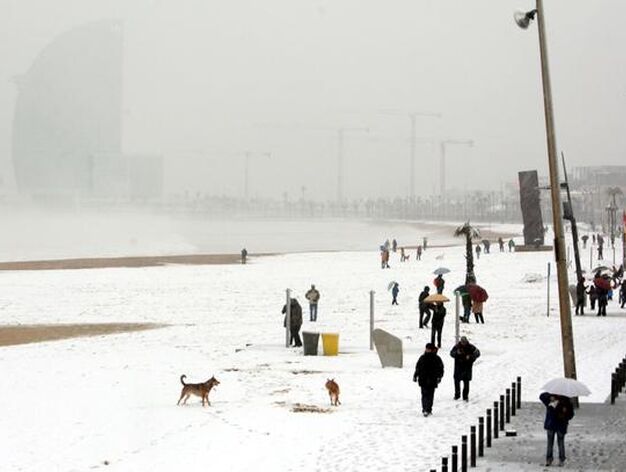 La playa de la Barceloneta, bajo la nieve. /EFE &middot; AFP Photo &middot; Reuters