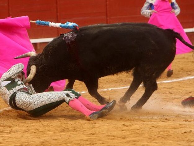 Este toro de Mari Carmen Camacho a punto estuvo de cornear a este subalterno

Foto: Juan Carlos Toro