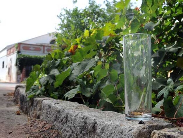 Un vaso de tubo, uno de los varios que se pueden ver repartidos por los jardines.

Foto: Manuel Aranda