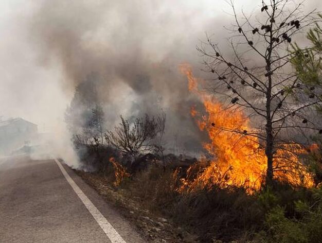 El fuego arrasa miles de hect&aacute;reas en comarcas del interior de la provincia de Valencia.

Foto: AFP
