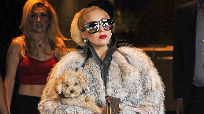 Lady Gaga con su perro.