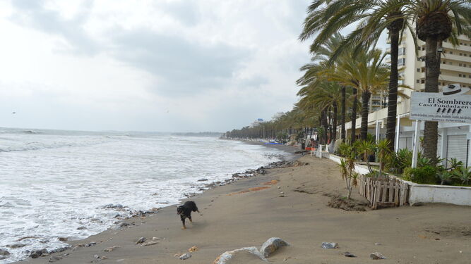 Estado de una playa de Marbella después de los temporales.