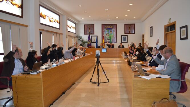 Un momento de la votación del Pleno celebrado ayer en Coín.