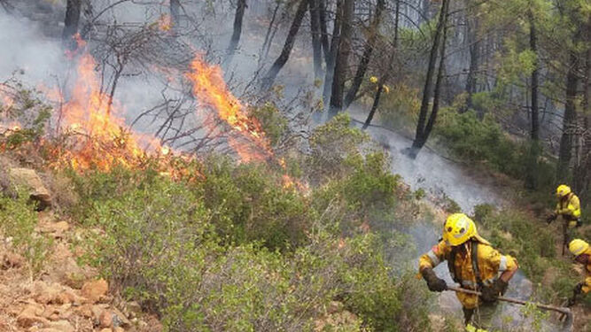 Bomberos forestales se enfrentan a las llamas en Benahavís.