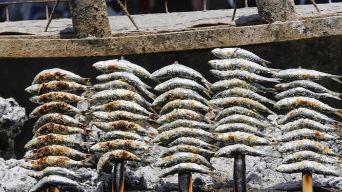 Varios espetos de sardinas en el momento de su elaboración en una barca.