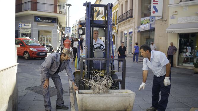 Operarios del Ayuntamiento de Ronda durante la colocación de maceteros en diferentes puntos de la ciudad.