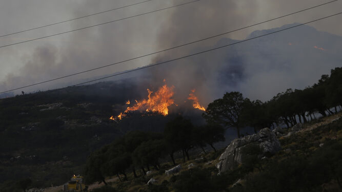 Aparatoso incendio forestal en una zona militar de Ronda