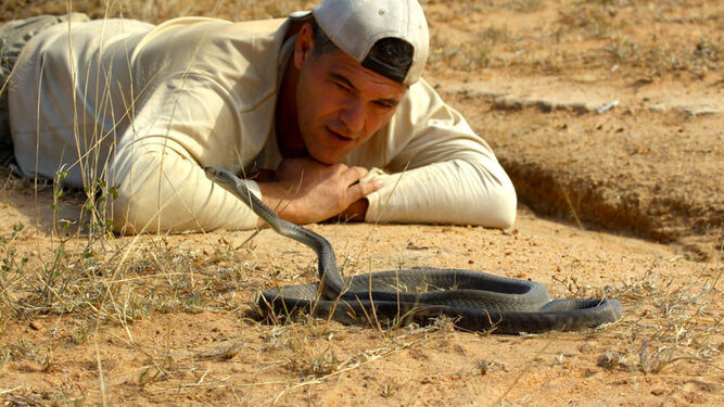 Frank Cuesta en una escena de su nueva temporada frente a la serpiente más letal, una mamba negra.