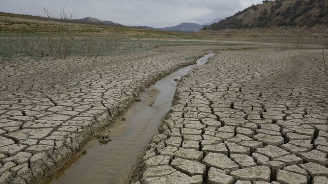Estado actual del pantano del Guadalteba.
