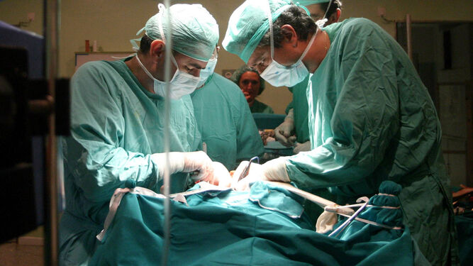 Interior de un quirófano durante una operación de trasplante