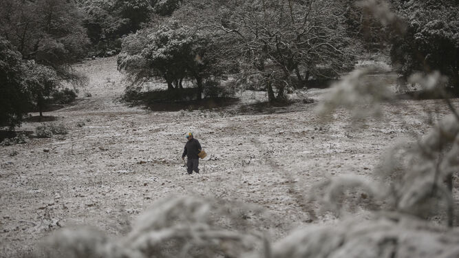 Un hombre por un campo nevado en Archidona.
