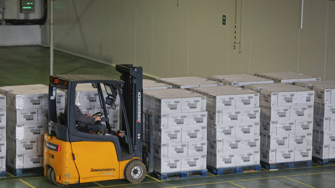 Una grúa carga cajas de aceite de oliva para exportar en la fábrica de Dcoop en Antequera en una imagen de archivo.
