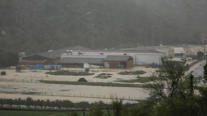 Zona de la Vega, en Benaoján, donde se ubican varias industrias, inundada por el agua.