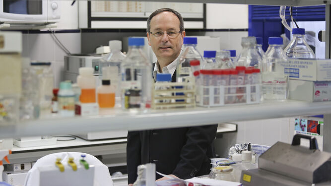 John Mackay, ayer, en un laboratorio del centro de investigación y desarrollo de la Universidad de Málaga.