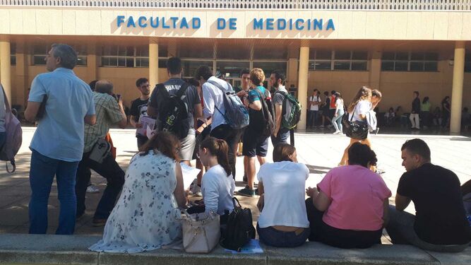 Estudiantes repasan para Selectividad en la puerta de la Facultad de Medicina.