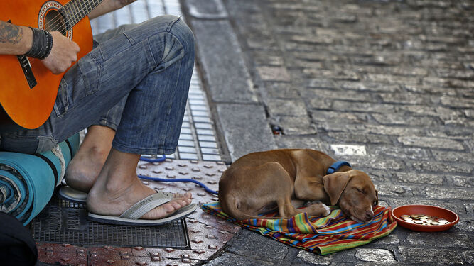 Una persona pide limosna en una calle de Cádiz junto a su perro