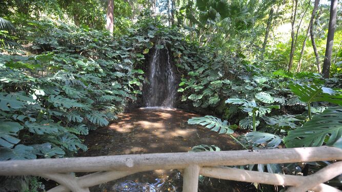 El Jardín Botánico-Histórico La Concepción ofrece talleres en plena selva.