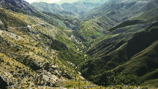 El proyecto de ley del parque nacional Sierra de las Nieves se aprobará este año