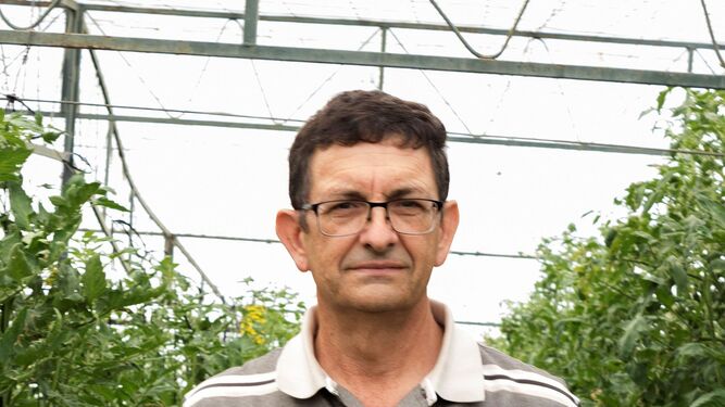 El investigador del CSIC Rafael Fernández sostiene un tomate.